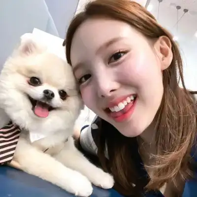张逸飞